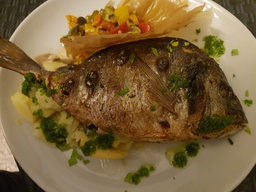 *MAJORCAN GILTHEAD