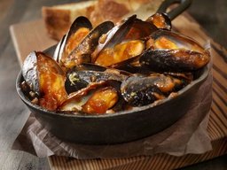 MARINE MUSSELS